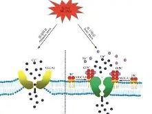 x^?绔V?l盐i	'D祻襮P~_I(?.L逖的简单介绍-多宝电竞