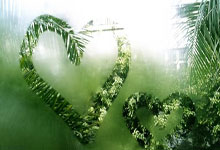 风云突变孟菲斯灰熊今晚再遭质疑，NBA常规赛版图或变，引发热议，高层口径保持一致的简单介绍-多宝体育入口