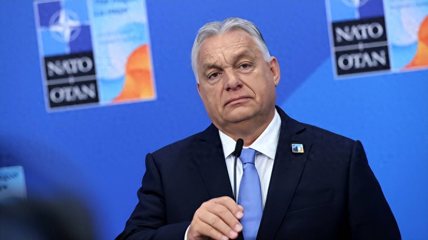 2024欧冠最新消息