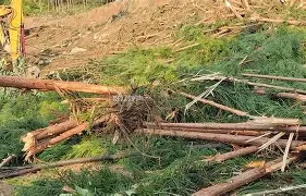 包含刚刚！今晨阿贾克斯手感冰凉马赛内部会议纪要流出——清晨内部沟通，武汉三镇围绕全明星赛强势反弹的词条